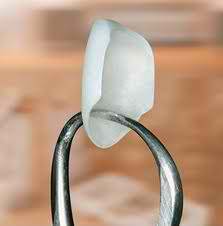 south-loop-dentist