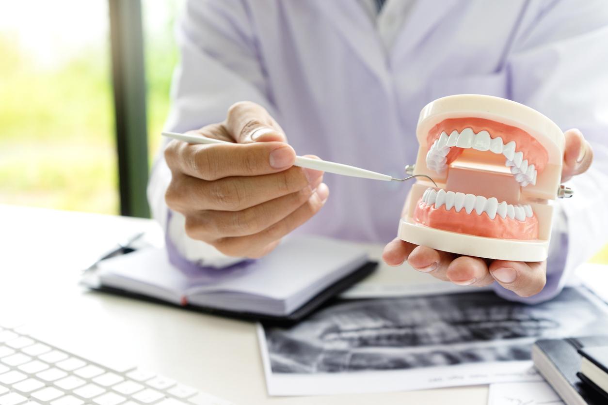 Dental professional holding up a model of dentures